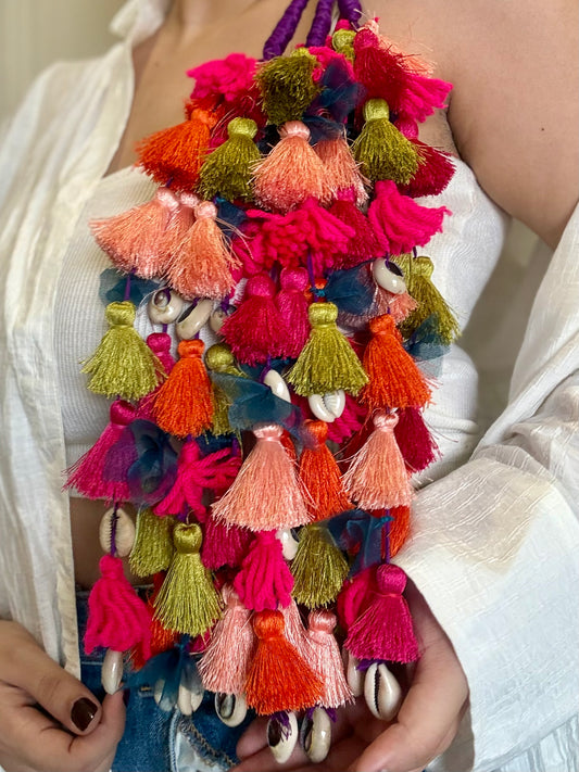 Chulbuli colorful Parandi