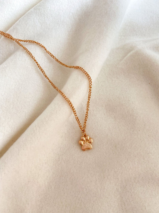 Paw Necklace 🐾 - Anti Tarnish